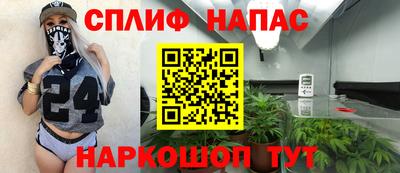 индика Аргун