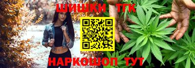 индика Аргун
